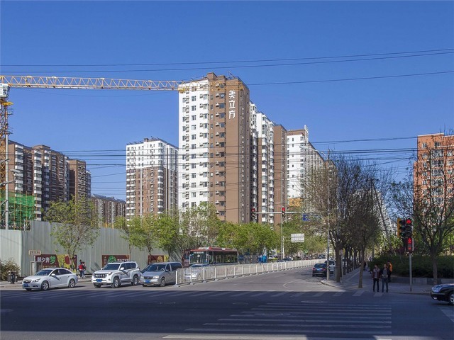 潍坊抗病小麦种子推荐